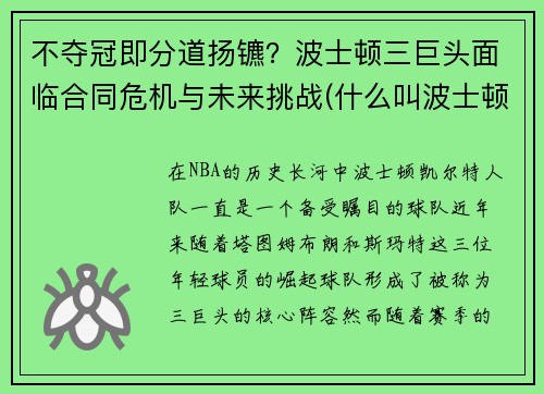 不夺冠即分道扬镳？波士顿三巨头面临合同危机与未来挑战(什么叫波士顿)