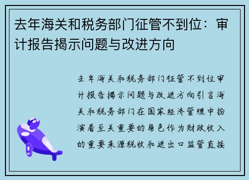 去年海关和税务部门征管不到位：审计报告揭示问题与改进方向