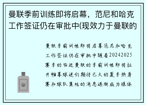 曼联季前训练即将启幕，范尼和哈克工作签证仍在审批中(现效力于曼联的范尼是哪国人)